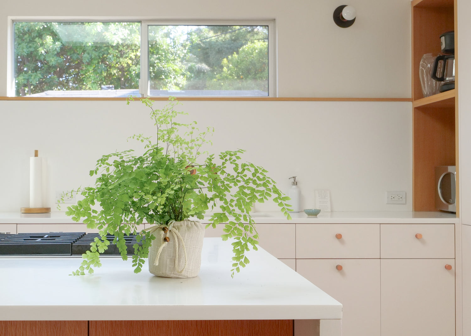 Fabric Plant Pot California Maidenhair Fern