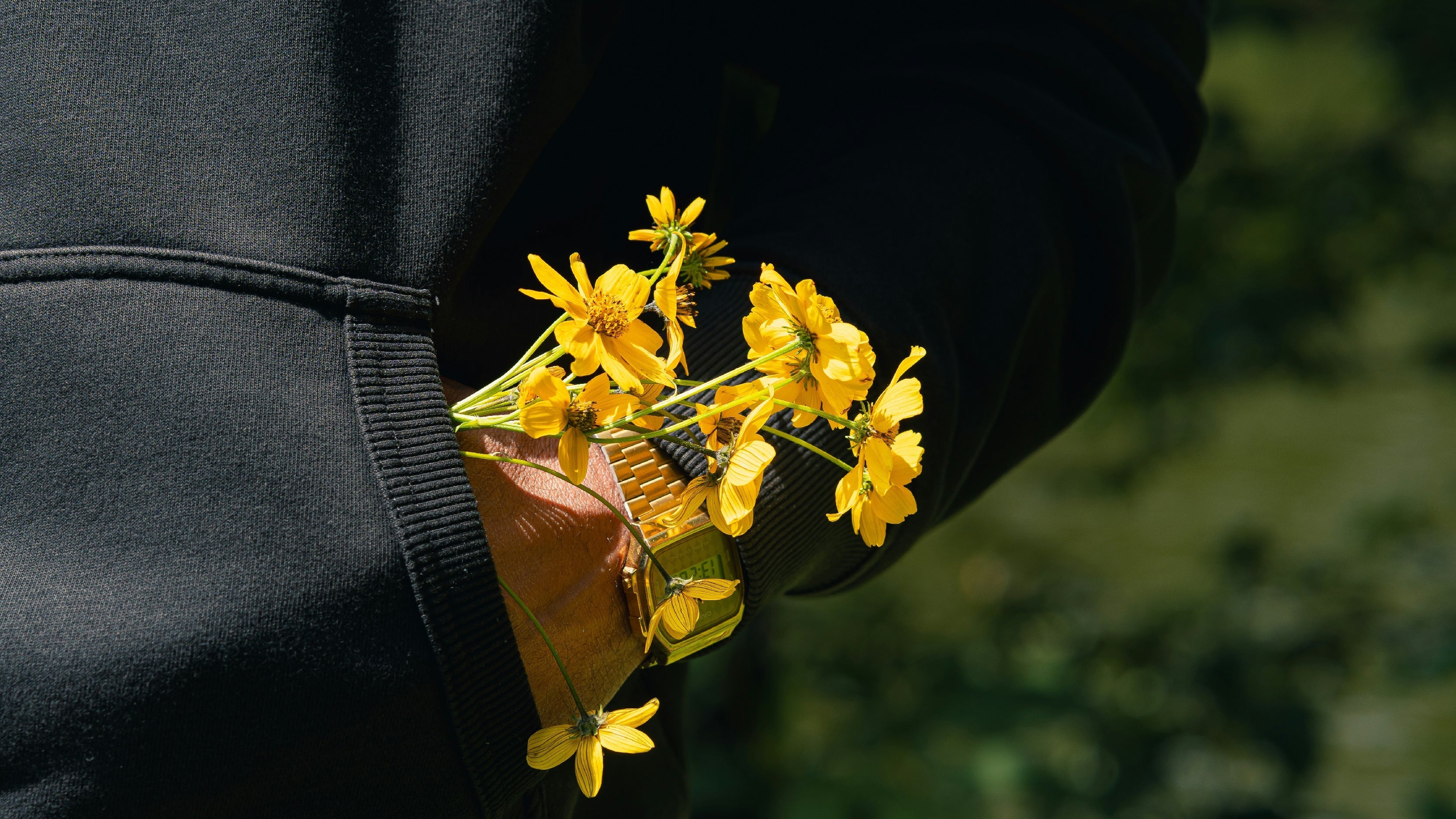 How Plants Purify Air — Physically and Spiritually (Full Guide + Best Air-Purifying Plants)